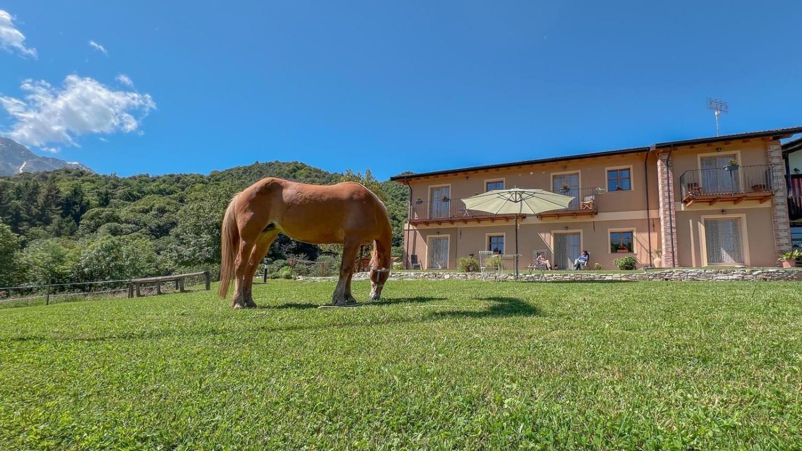 Ranch Enbruca Apartment Boves Luaran gambar